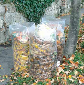 Faültetések... Faültetések...