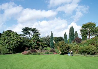 Gyep telepítése Gyep telepítése