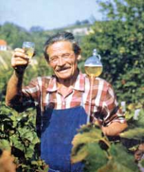 A szőlő mint gyógyszer A szőlő mint gyógyszer