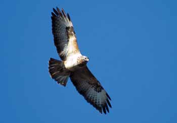 A XII. kerületben több helyen A XII. kerületben több helyen