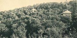 A Svábhegy a XIX. század végén