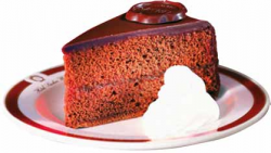 Sacher Sacher