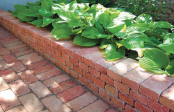 15_Page_04_Image_0005 15_Page_04_Image_0005