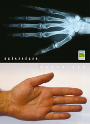 egeszseges egeszseges