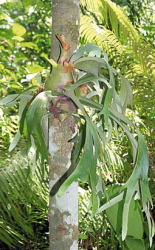 19_Page_12_Image_0007 19_Page_12_Image_0007