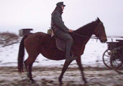 2009_21_Page_08_Image_0004 2009_21_Page_08_Image_0004