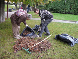 Kartevoirtas_a_Gesztenyes_kertben