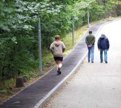 Keruleti_utepitesek_jardajavitasok1