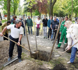 Uj_fak_a_gesztenyeskertben