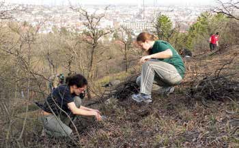 Termeszeti_ertekmegorzes