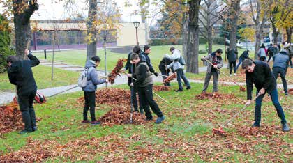 Jubileumi_gesztenyefamentes