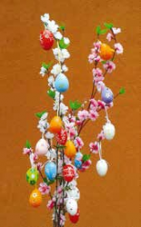 A_jelentektelen_kinezetu_barka1 A_jelentektelen_kinezetu_barka1