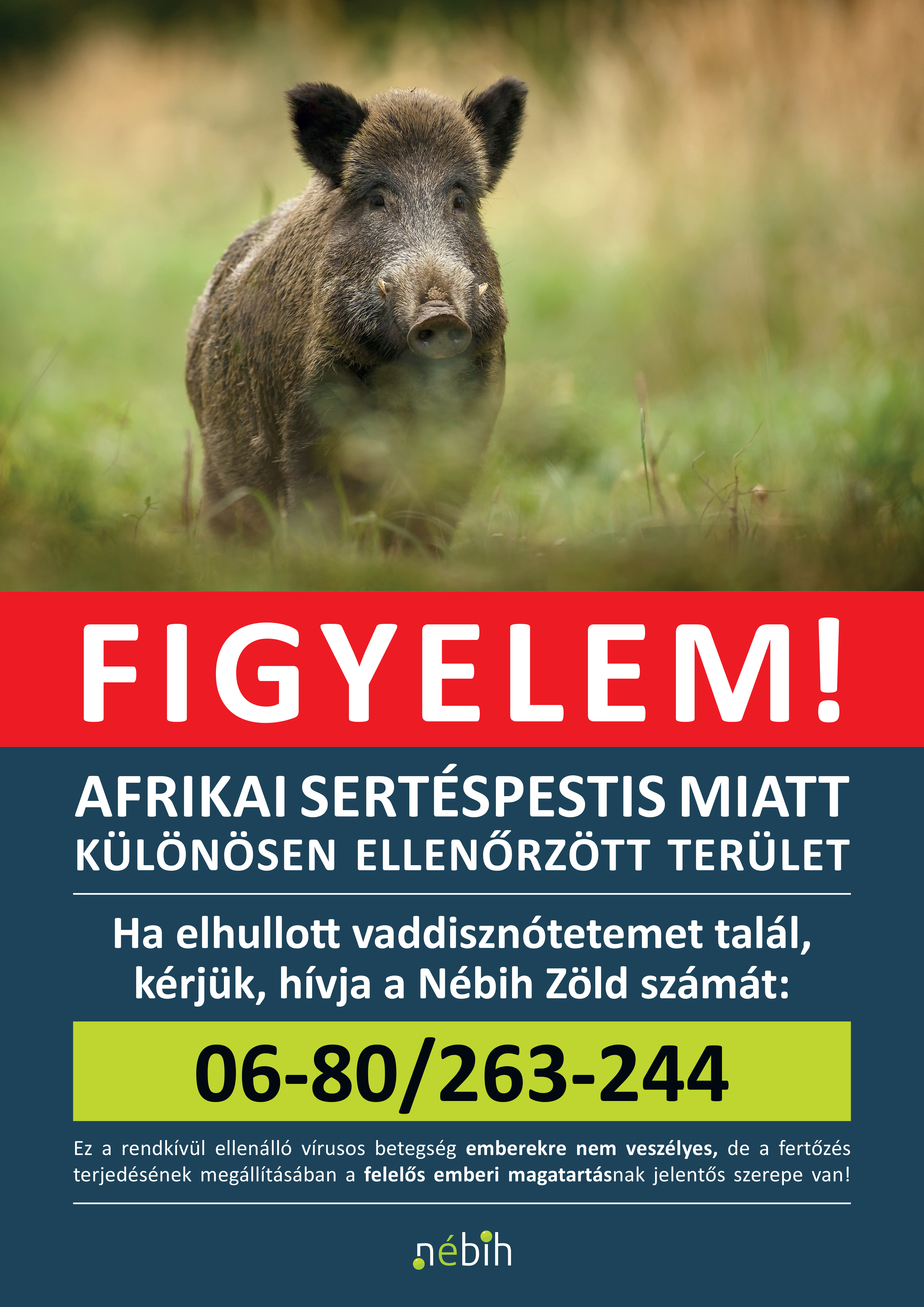 sertespestis_fertozott_terulet_Nebih_plakat_PRESSRGB