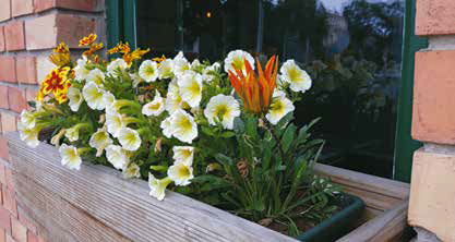 Online_kerteszeti_szaktanacsadas2 Online_kerteszeti_szaktanacsadas2