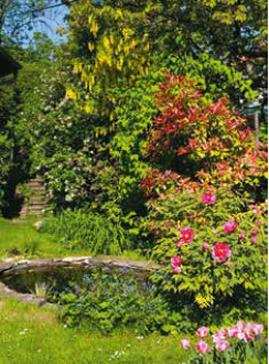 Az_okos_termeszetbarat_kertje1 Az_okos_termeszetbarat_kertje1