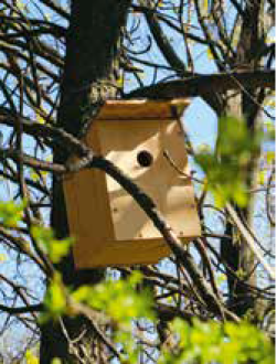 Az_okos_termeszetbarat_kertje4 Az_okos_termeszetbarat_kertje4