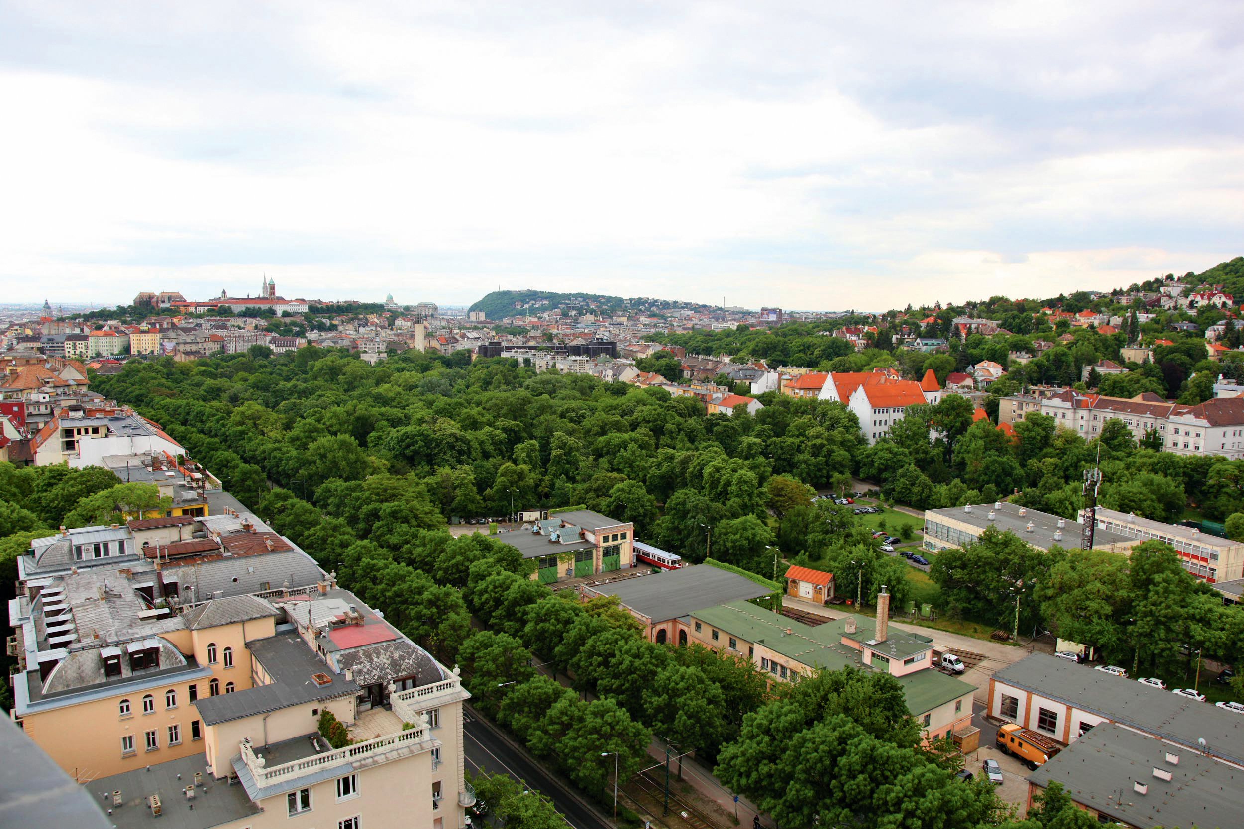 A_zold_Hegyvidek_nagy_vonzero