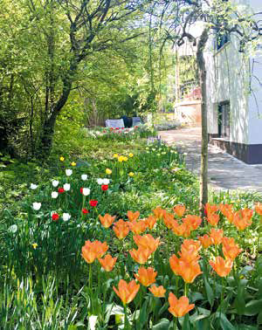 Hegyvideki_kerteszeti_palyazatok1 Hegyvideki_kerteszeti_palyazatok1